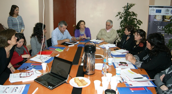 La Directora Nacional de SENADIS expone en la mesa de trabajo.