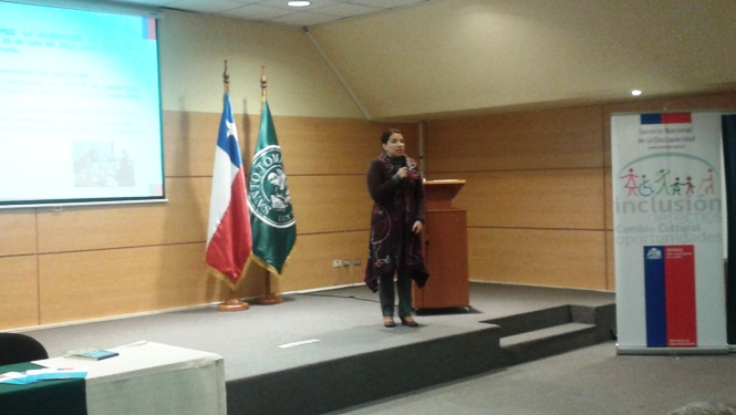 Directora Regional de Senadis presenta Cuanta Pública 2011.