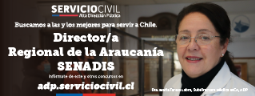 Concurso ADP Director/a Regional de La Araucanía Servicio Nacional de la Discapacidad