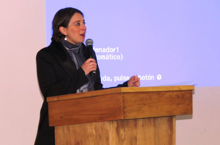 Jessica Droppelman, directora regional de SENADIS.