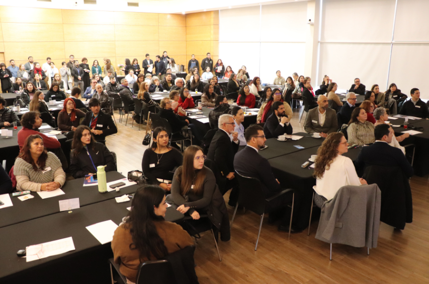 Senadis presenta su Cuenta Pública participativa