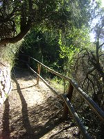 En la fotografía aparece una de las pasarelas de Río Clarillo en medio del bosque