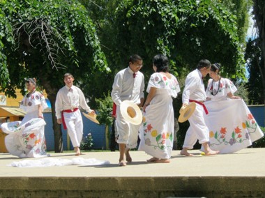 Grupo artístico inclusivo en la celebración del Día Nacional de la Discapacidad en Angol.