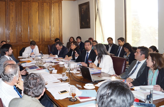 Director Nacional en presentación ante Comisión de Presupuesto del Senado. 