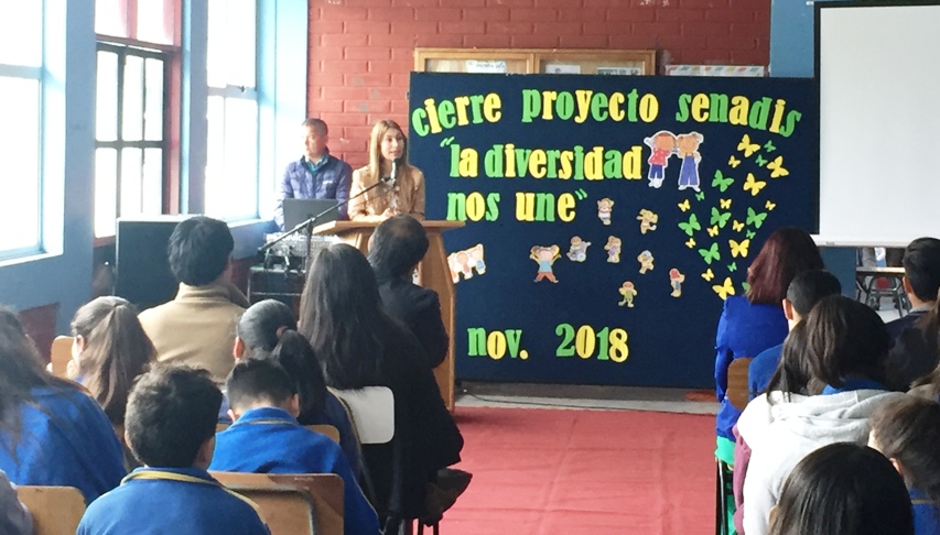 Senadis promueve inclusión educativa en la Escuela República de  Nueva Imperial.