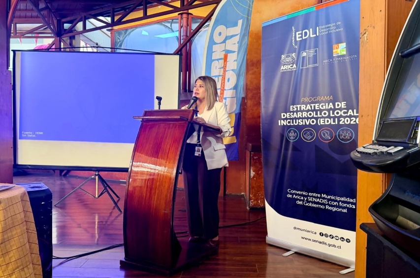 Directora Regional de Senadis expone en la actividad.