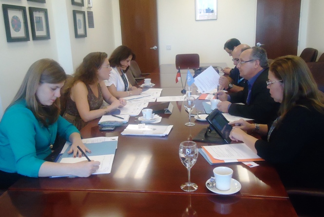 Directora Nacional de Senadis lidera reunión del Ceddis en Nueva York.