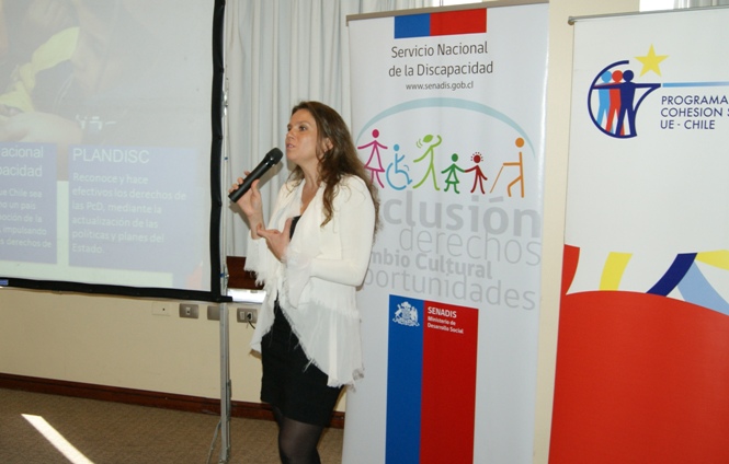 La Directora Nacional del Senadis dirigiéndose a los asistentes de las mesas técnicas.