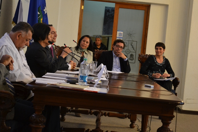Jefe del Departamento de Educación del Senadis, Wilson Rojas, en el debate. 