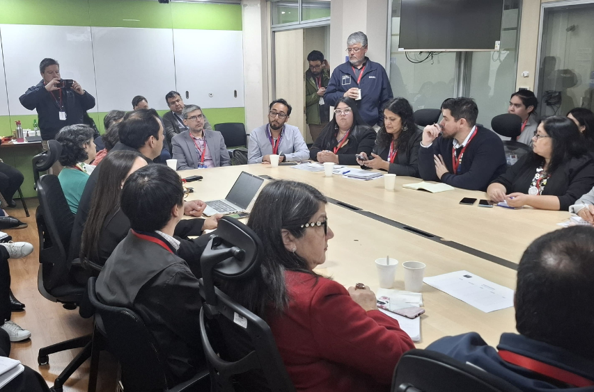 Mesa regional de autismo analiza avances en la implementación de la ley 21.545