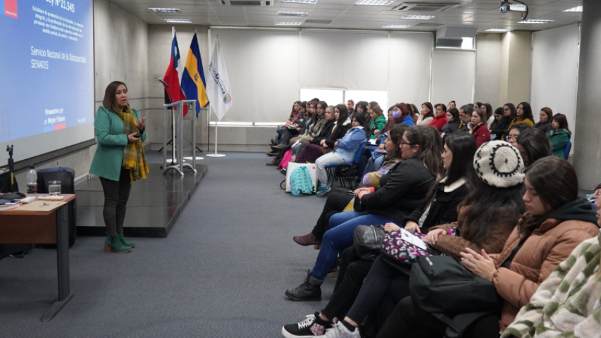 Ley TEA: Senadis Biobío abordó oportunidades y desafíos para profesionales de la educación