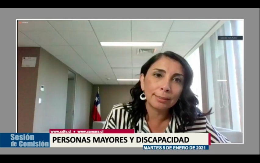 Ministra de Desarrollo Social y Familia expuso prioridades legislativas ante Comisión de Personas Mayores y Discapacidad