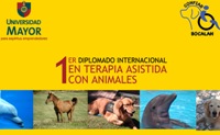En la fotografía aparece escrito Primer diplomado internacional en terapia asistida con animales