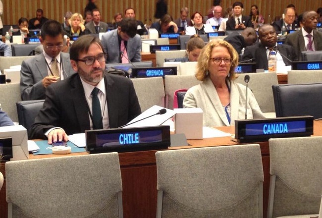 Director Nacional de SENADIS participa en 9° Conferencia de Estados Partes de la Convención sobre los Derechos de las Personas con Discapacidad