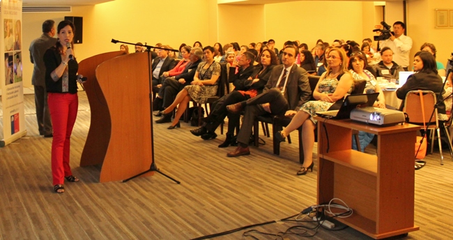 Comisión Asesora Presidencial en Discapacidad realizó jornada participativa en la región de Magallanes