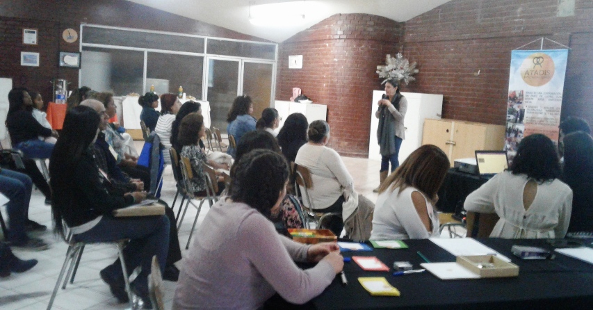 Directora Regional del Senadis durante la jornada del taller \