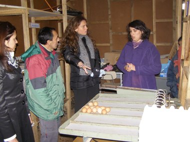 Directora de Senadis en visita a proyecto en Punta Arenas