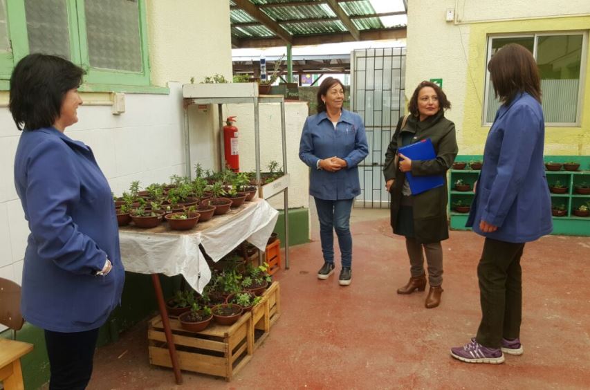 SENADIS Valparaíso lanza Concurso Nacional de Apoyo a Instituciones Educativas 2018