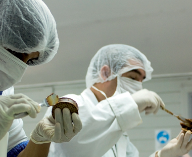 Dos jóvenes de la Fundación Coanil trabajando en repostería.