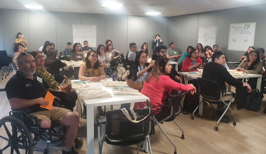 Profesionales de Oficinas de Discapacidad realizan Curso Liderazgo Participativo para la Inclusión Social EDLI 2022