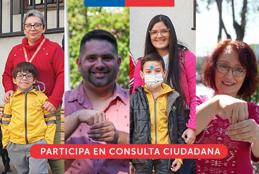 Consulta Ciudadana