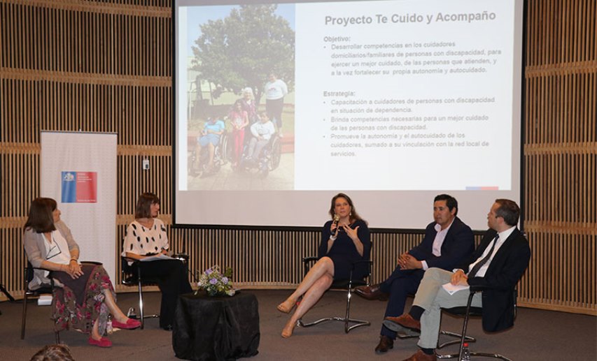 Directora Nacional de Senadis exponiendo sobre el proyecto 