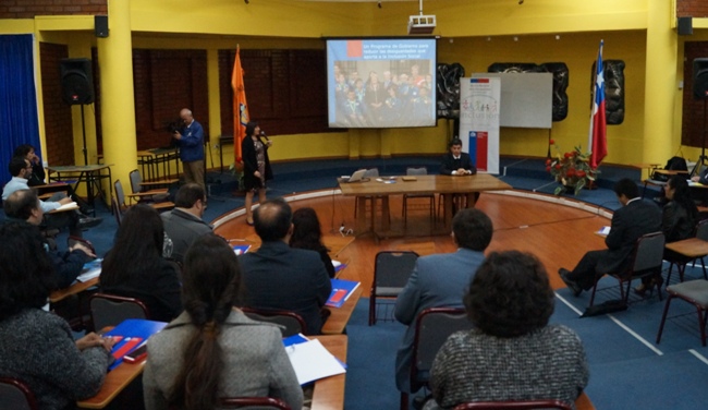 Senadis y CAJTA realizan capacitación a funcionarios públicos