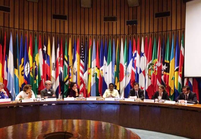 Director Nacional del SENADIS en reunión regional sobre medición de la discapacidad y estadísticas de discapacidad