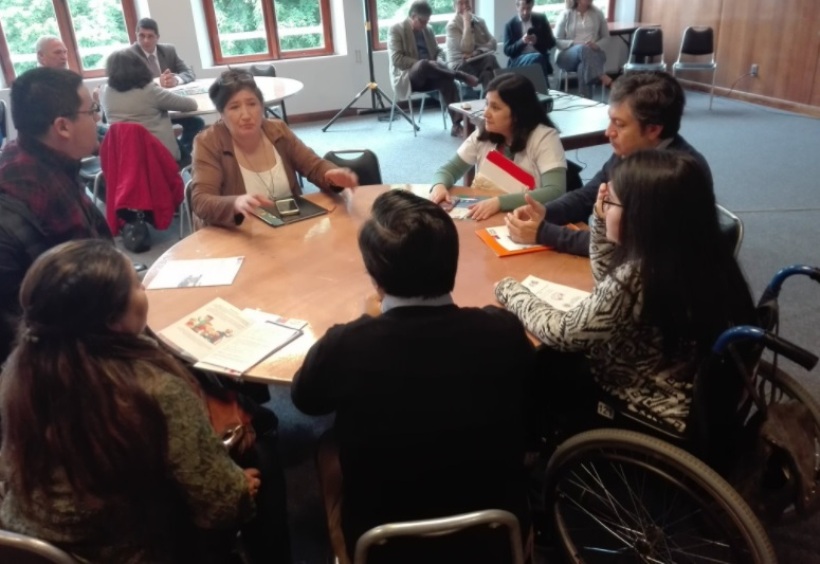 Sociedad civil diagnosticó Estrategia de Desarrollo Local Inclusivo en Valdivia