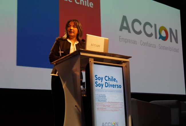 Ministra de Desarrollo Social, María Fernanda Villegas. 