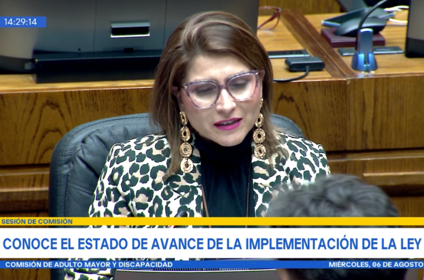 Captura de pantalla de la Directora Nacional (s) exponiendo