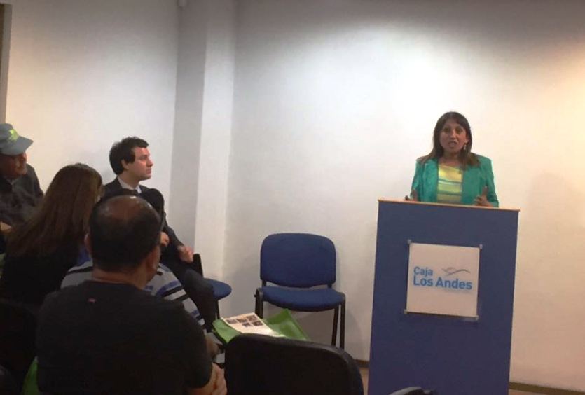 Directora Regional de Senadis expone en la actividad.