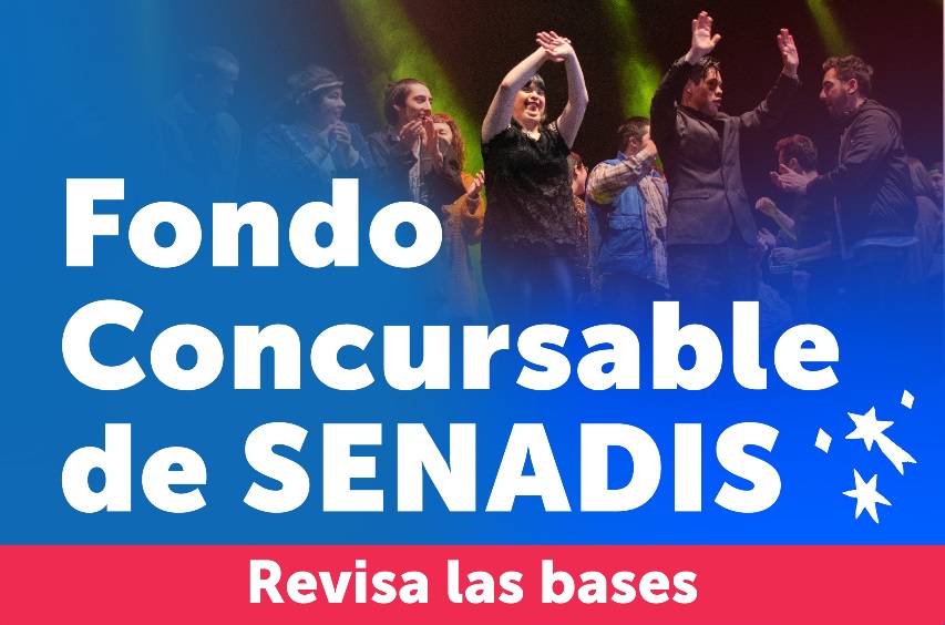 Conoce las Bases de la Convocatoria al Fondo Concursable SENADIS 2024