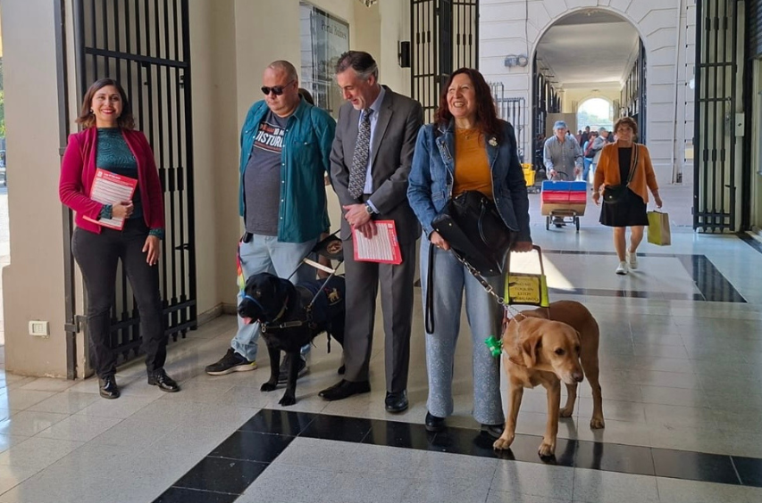 Gobierno refuerza el llamado a respetar el derecho a desplazamiento de personas usuarias de perros guía